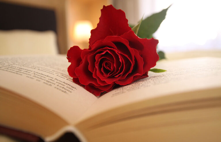 RoseaufBuch